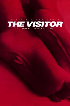 The Visitor's poster