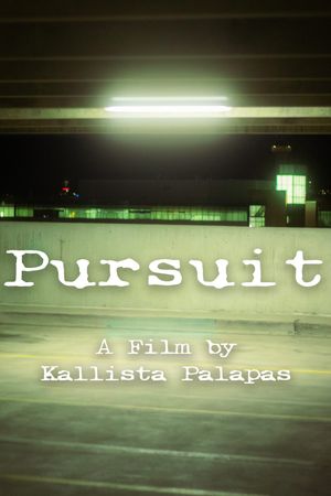 Pursuit's poster