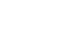 The Only Ones's poster
