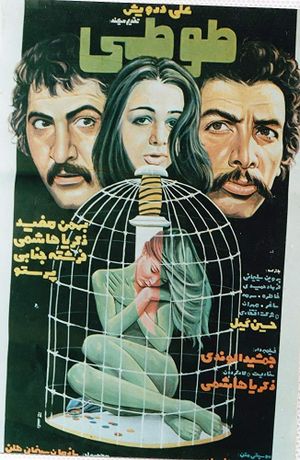 Tuti's poster