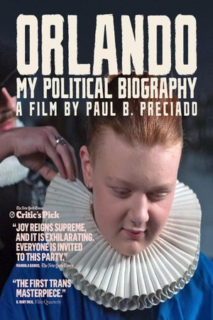 Orlando: My Political Biography's poster