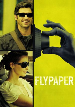 Flypaper's poster