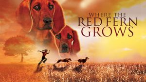 Where the Red Fern Grows's poster