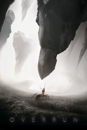 Overrun's poster