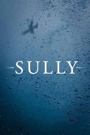 Sully's poster