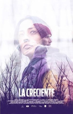 La creciente's poster