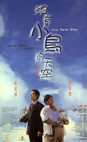 The Pale Sky's poster image