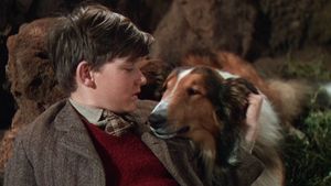 Lassie Come Home's poster