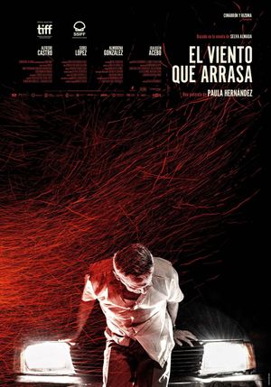 A Ravaging Wind's poster