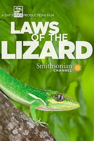 Laws of the Lizard's poster