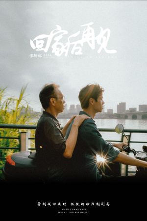 回家后再见's poster