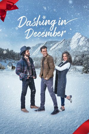 Dashing in December's poster image