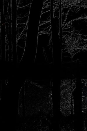 The Heart of the Wood's poster