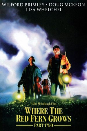 Where The Red Fern Grows Part 2's poster
