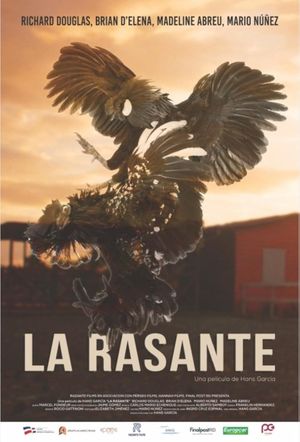 La Rasante's poster