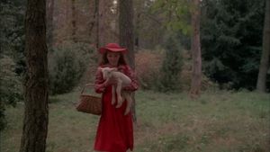 Bye bye chaperon rouge's poster