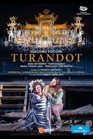 Turandot's poster