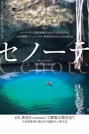 Cenote's poster