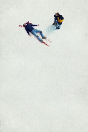 Anatomy of a Fall's poster