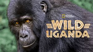 Wild Uganda's poster