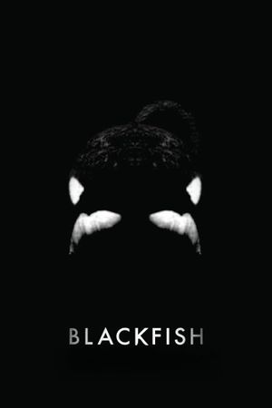 Blackfish's poster