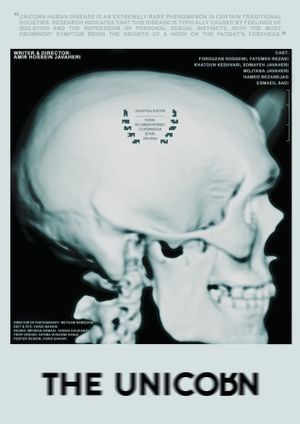 The Unicorn's poster