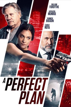 A Perfect Plan's poster