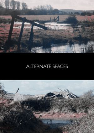 Alternate Spaces's poster