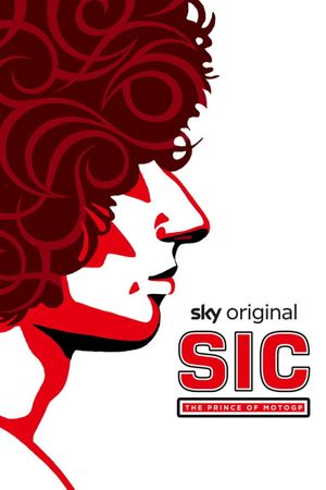 SIC's poster