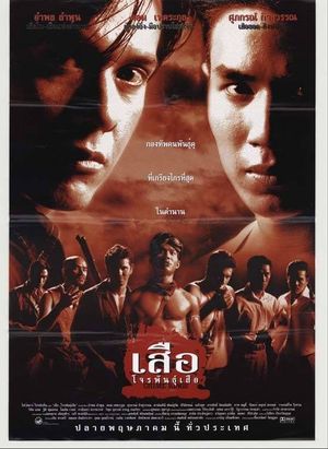 Seua jone phan seua's poster