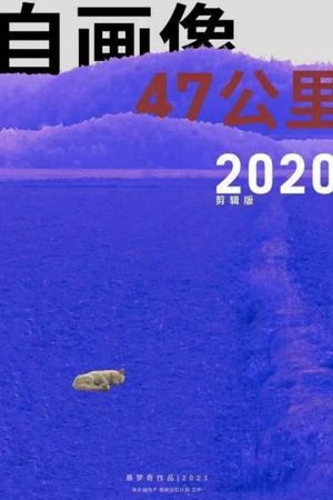 Self Portrait: 47 Km 2020's poster