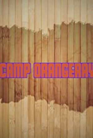 Camp OrangeRay's poster