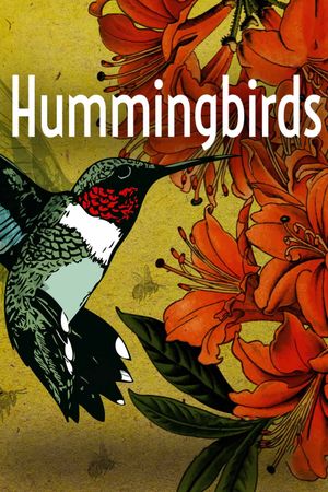 Hummingbirds: Jewelled Messengers's poster