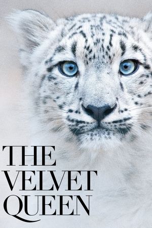 The Velvet Queen's poster