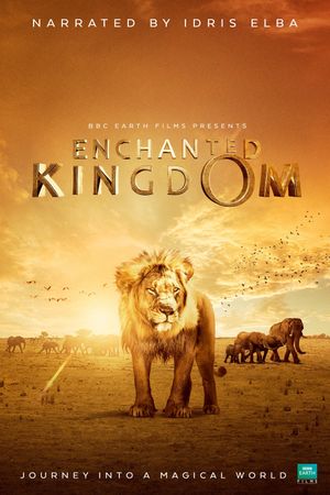 Enchanted Kingdom's poster