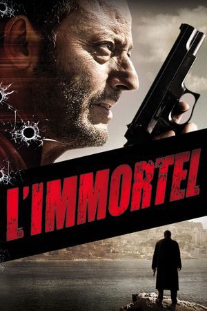 22 Bullets's poster