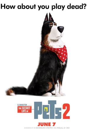 The Secret Life of Pets 2's poster