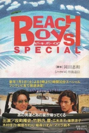 Beach Boys Special's poster
