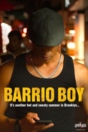 Barrio Boy's poster