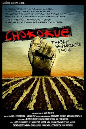 Chokokue. Trabajo, Organización y Lucha's poster