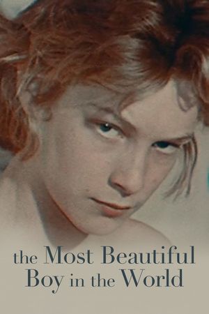 The Most Beautiful Boy in the World's poster