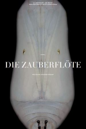 Mozart: Die Zauberflöte's poster