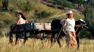 Dos Mujeres y una Vaca's poster