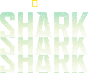 Shark Queens's poster