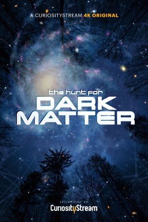 The Hunt for Dark Matter's poster