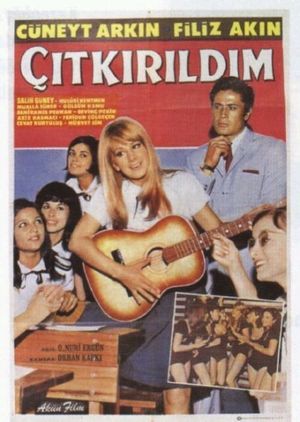 Çitkirildim's poster