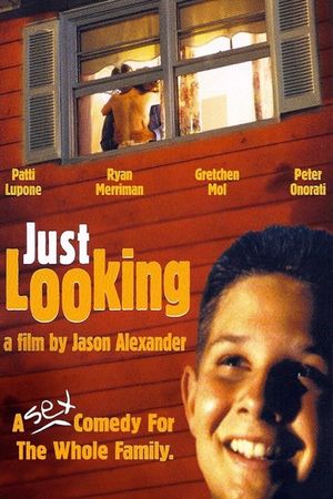 Just Looking's poster