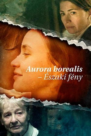 Aurora Borealis: Northern Light's poster