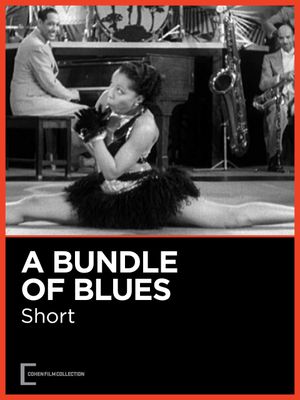 A Bundle of Blues's poster