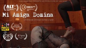 Mi amiga Domina's poster